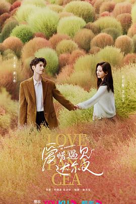 常州网站优化哪家合适